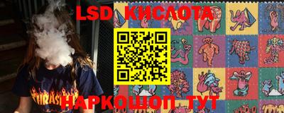 стафф Можга