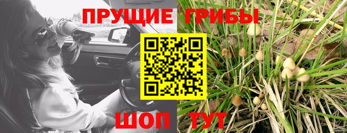Псилоцибиновые грибы прущие грибы  Вход с VPN  Сургут 