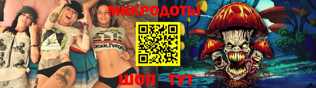 Галлюциногенные грибы Psilocybe Сургут